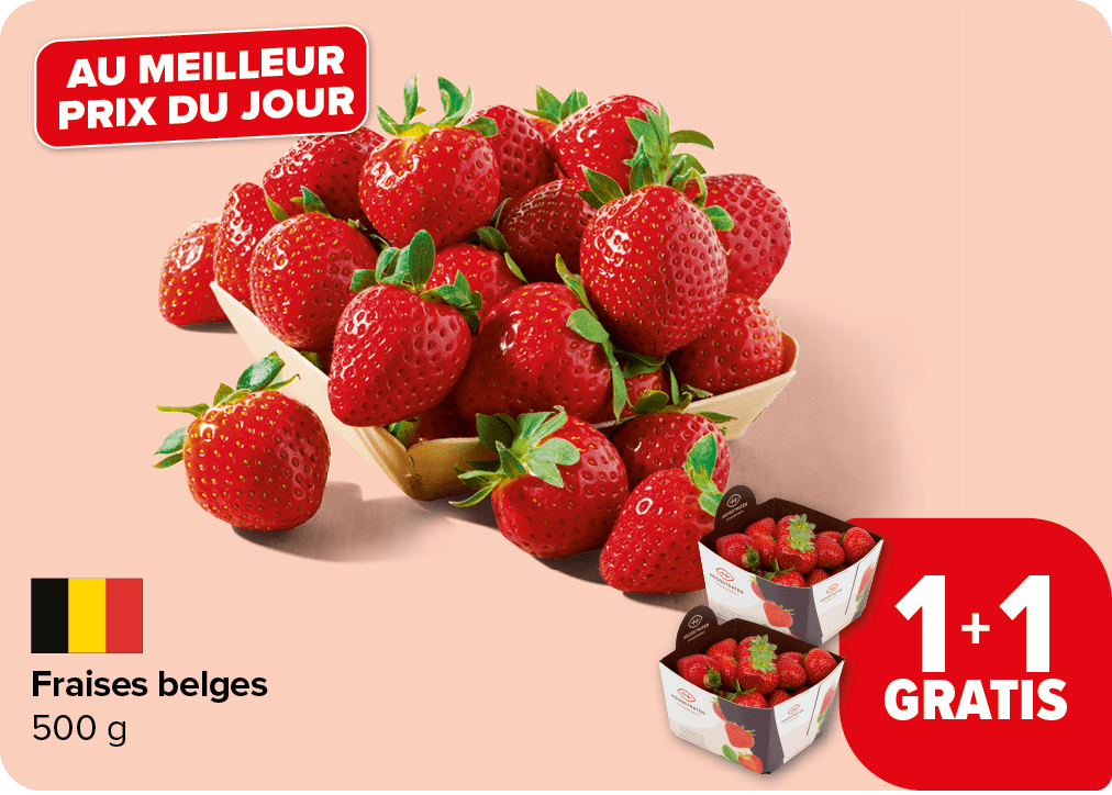 Fraises belges 500 
